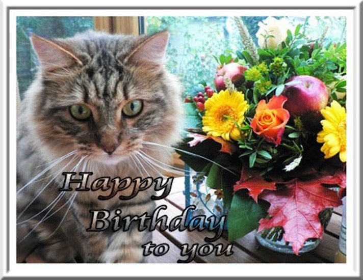 Happy Birthday To U Cat Image