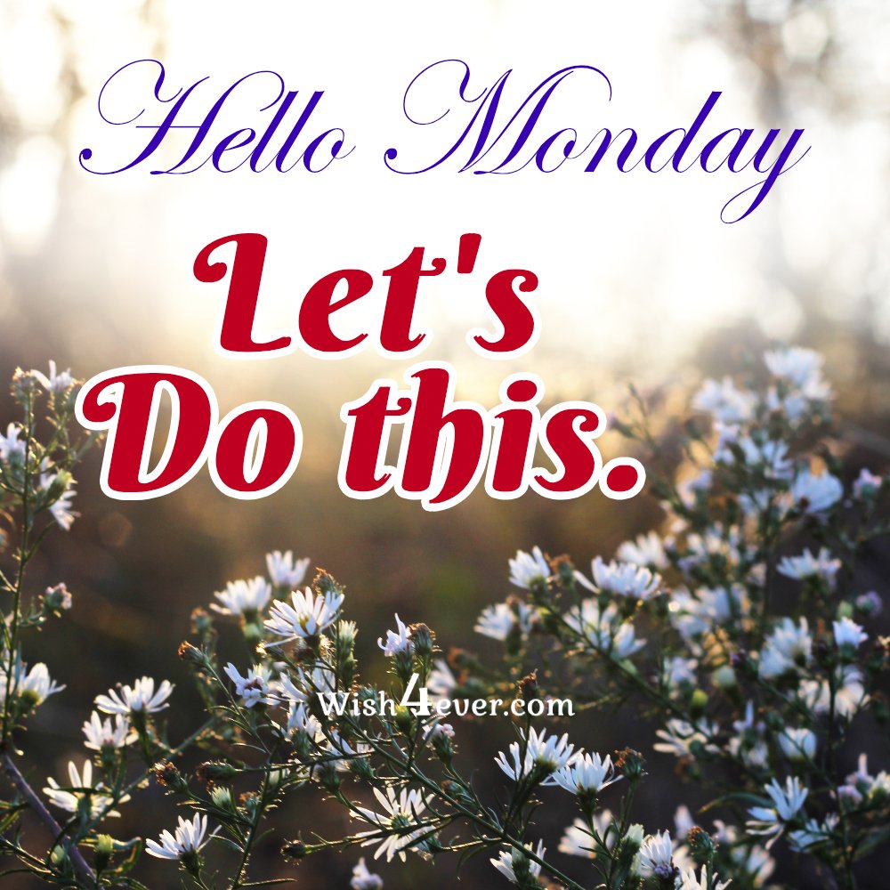 Hello Monday!Let's do this