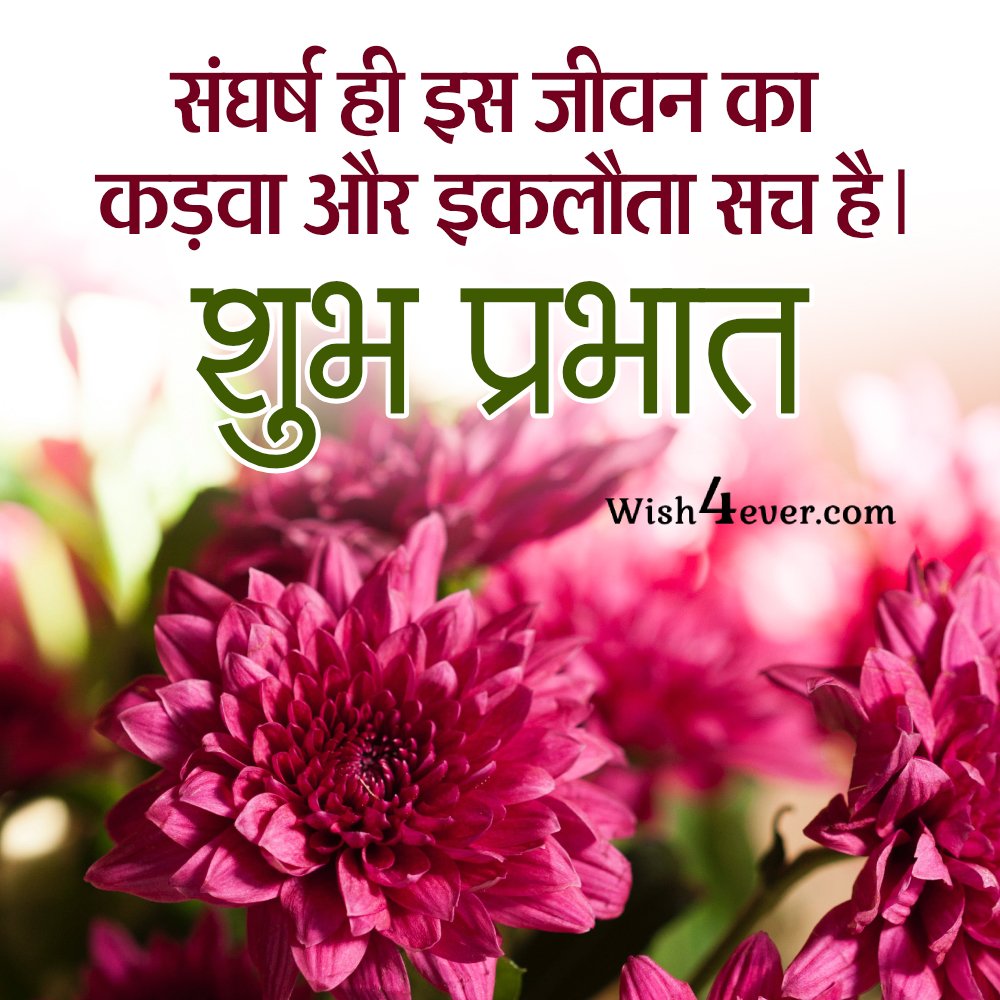 संघर्ष ही इस जीवन का कड़वा सच है। शुभ प्रभात Pink flower hindi pic for whatsapp