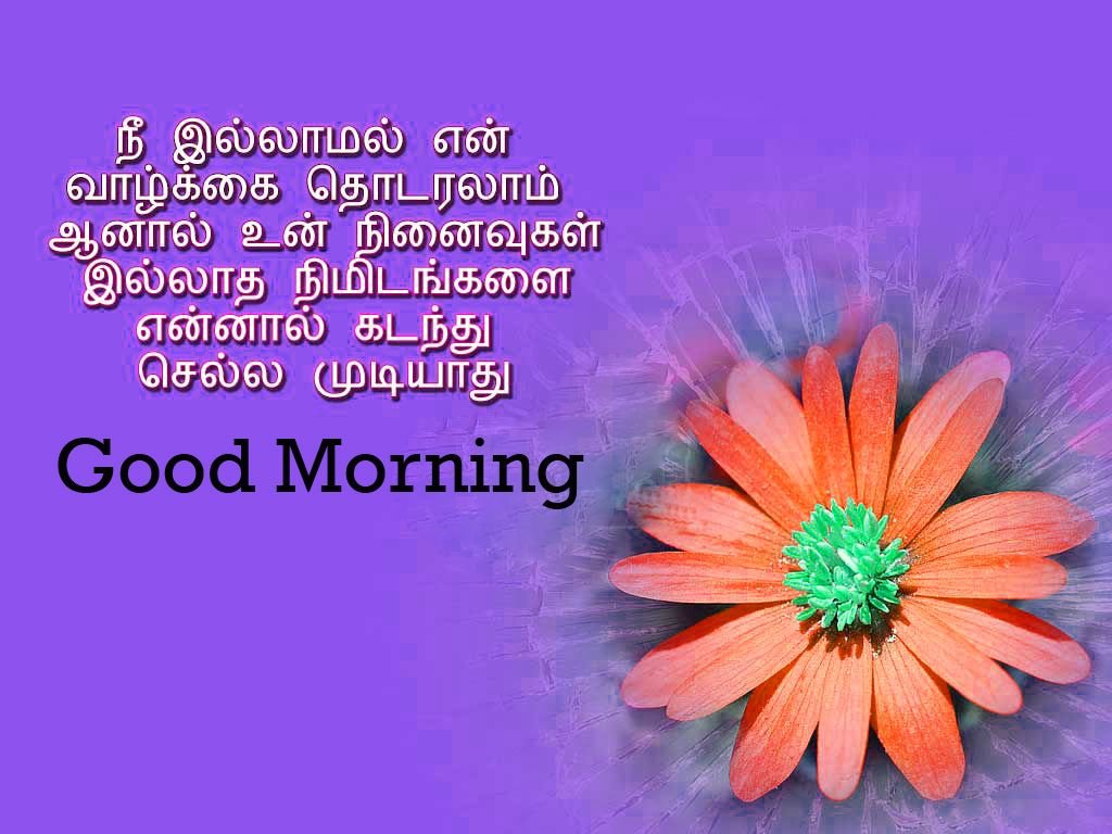 Amazing Good Morning In Tamil Photo