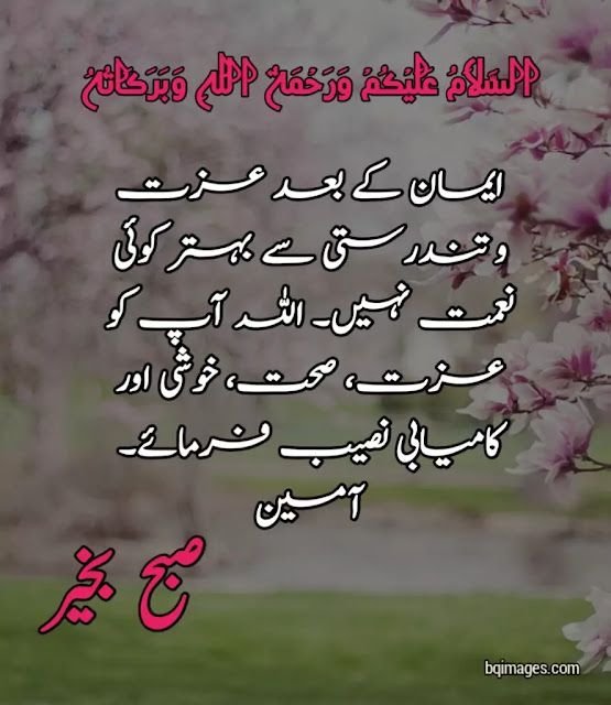 Amazing Good Morning Urdu Image