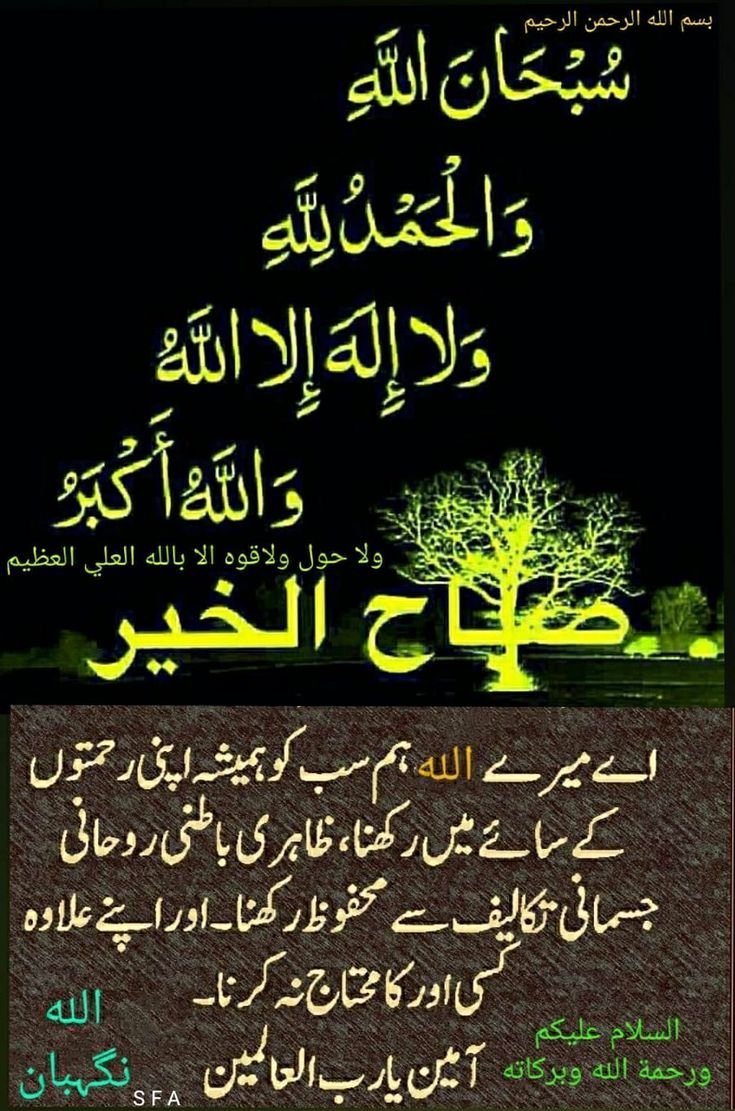 Beautiful Good Morning Images In Urdu