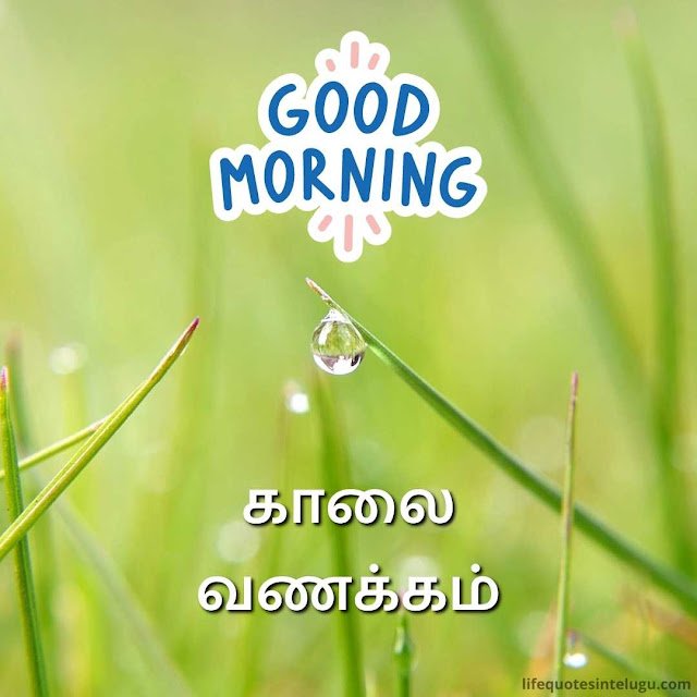 Best Good Morning In Tamil Image