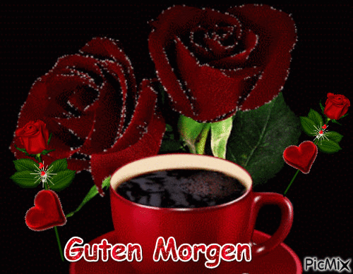 German Guten Morgen Rose
