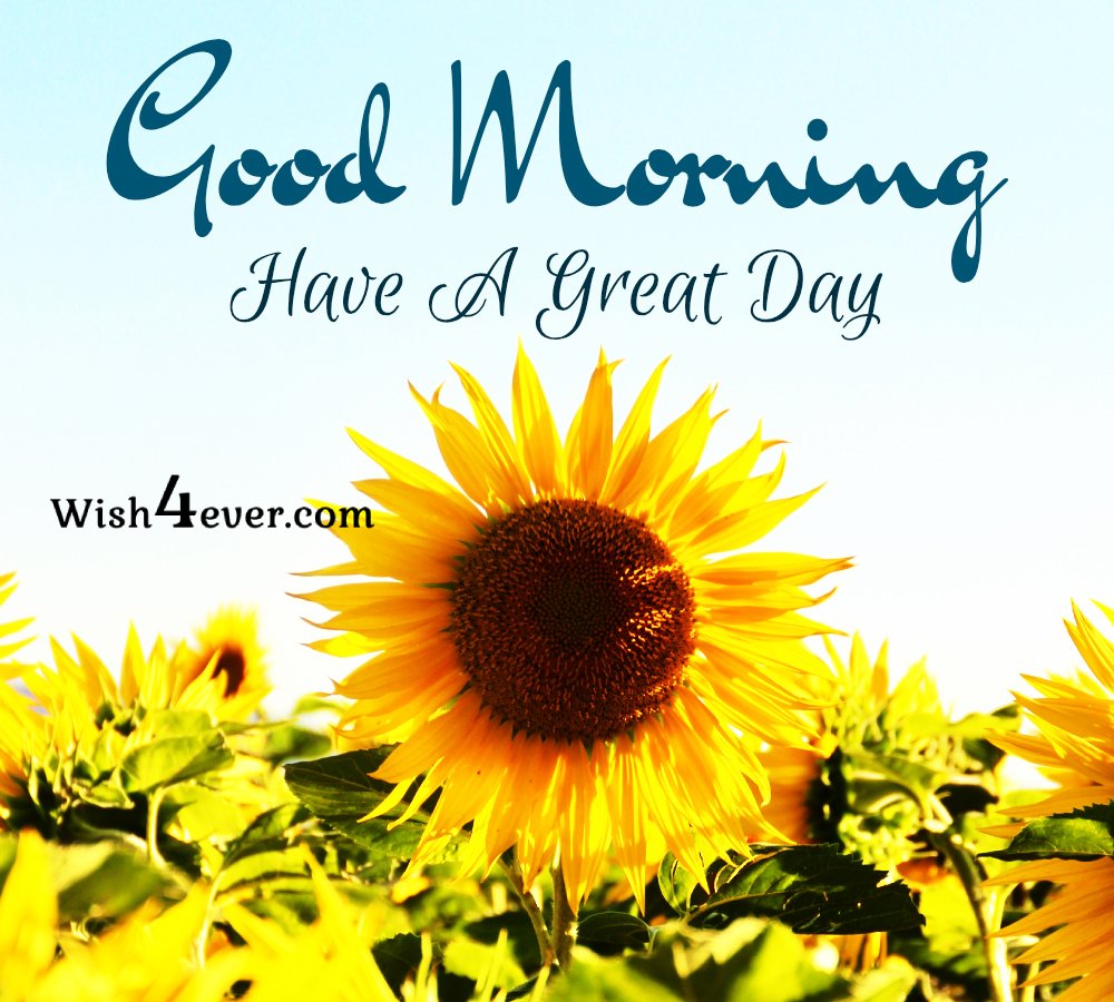Good Morning Sunflower Facebook Status