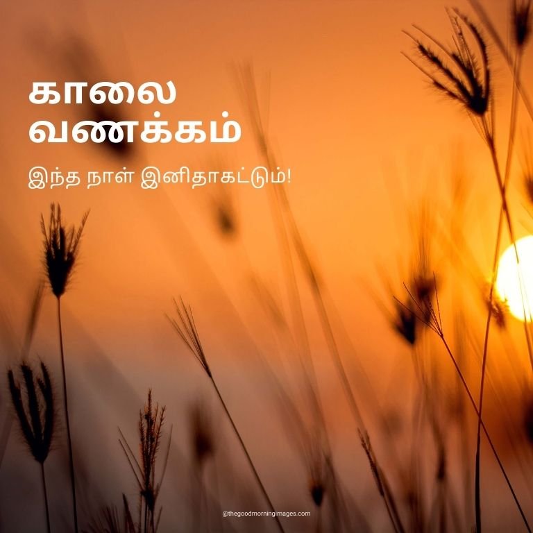 Good Morning Tamil Have A Awesome Day Pic