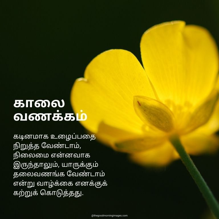 Good Morning Tamil Have A Nice Day Image