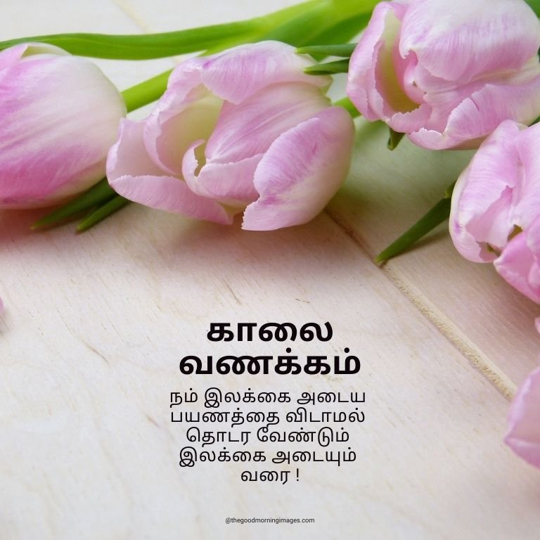 Good Morning Tamil Have A Wonderful Day Pic