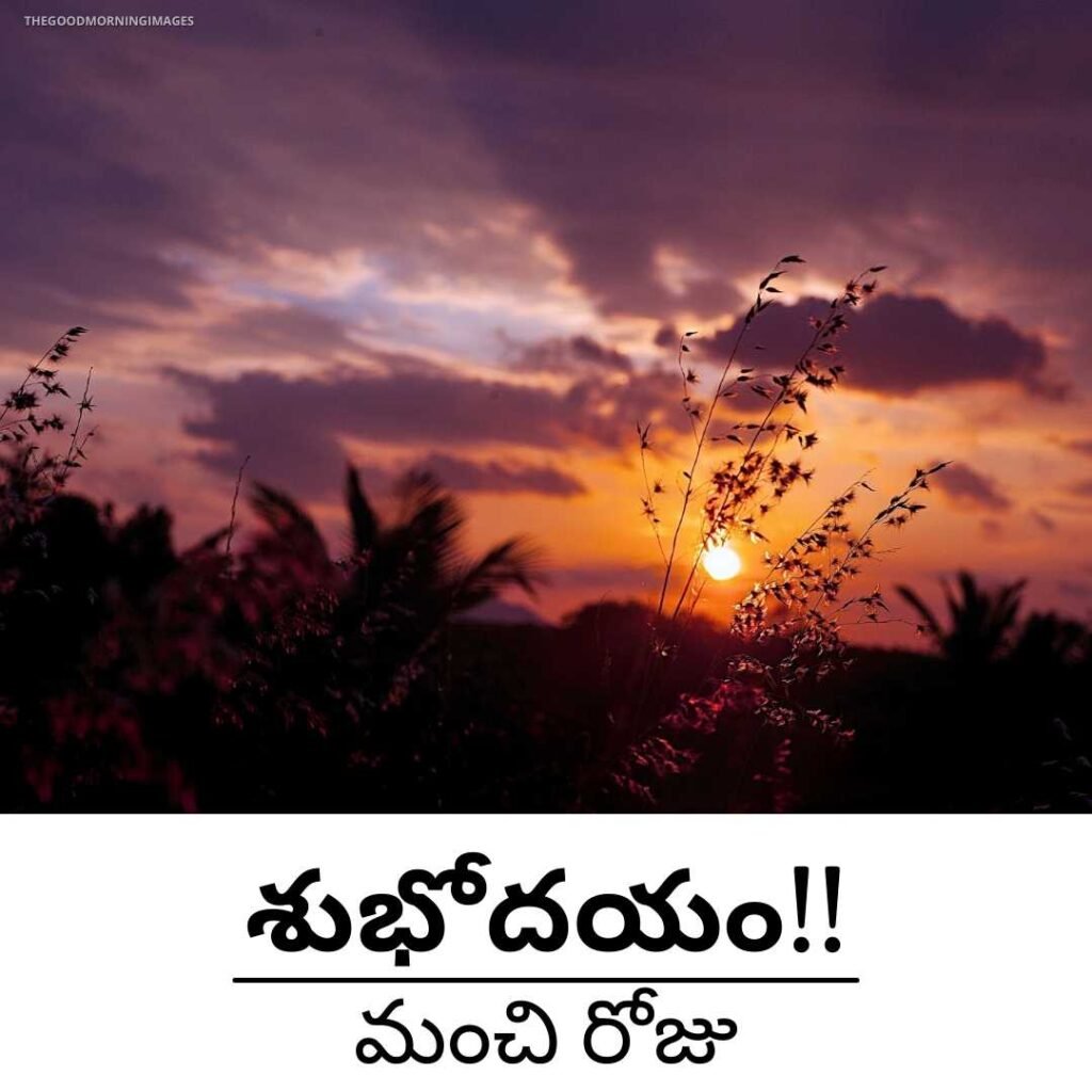 Image Of Amazing Telugu Good Morning