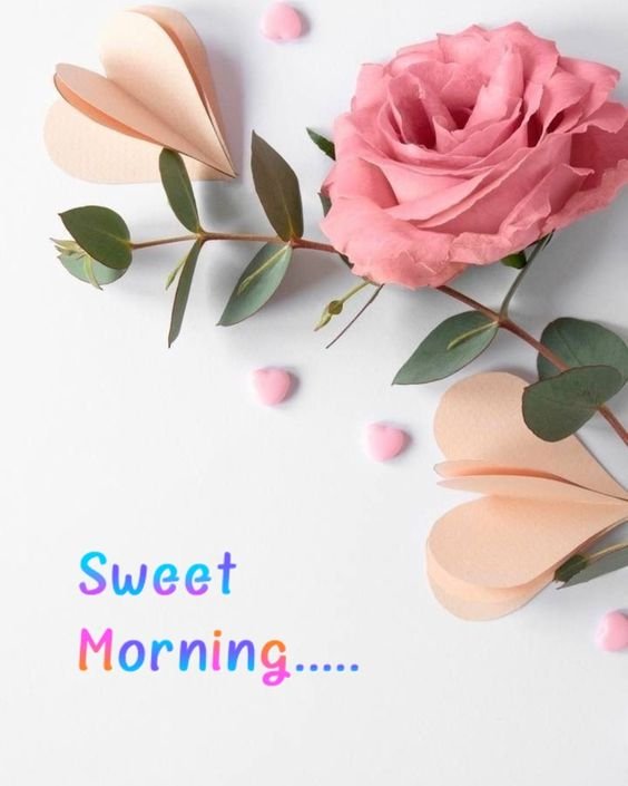 Sweet Good Morning Pink Flower Wish