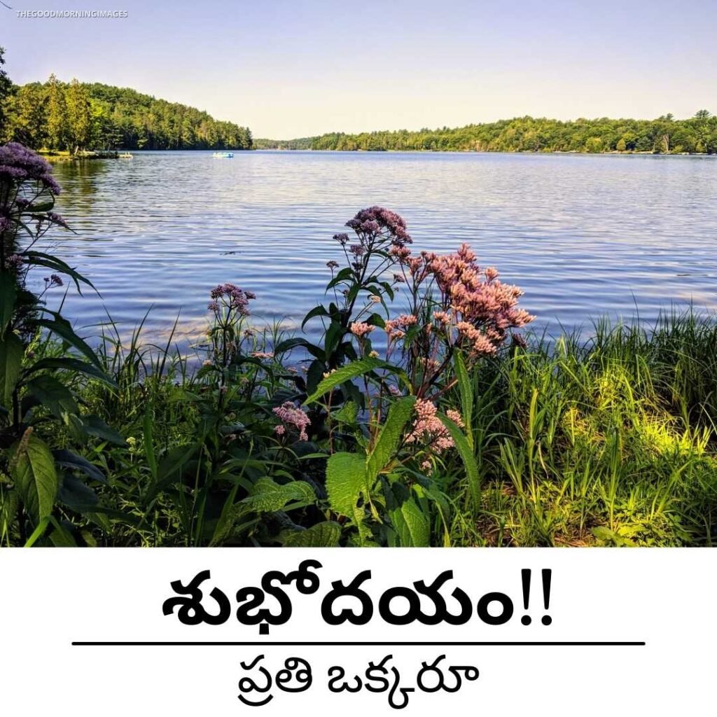 Telugu Best Quote Good Morning
