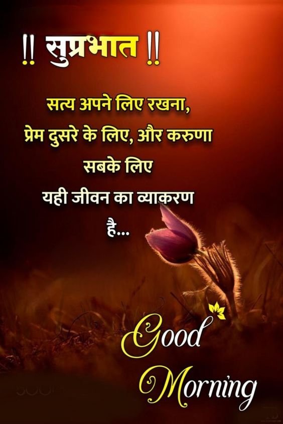 Amazing Good Morning In Hindi Quote Picture