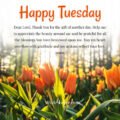 Good Morning Tuesday Prayer Images